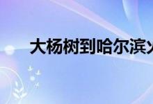 大杨树到哈尔滨火车时刻表（大杨树）