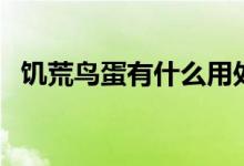 饥荒鸟蛋有什么用处(饥荒鸟蛋有什么用)