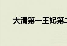 大清第一王妃第二部(大清第一王妃)