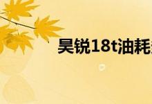 昊锐18t油耗多少（昊锐1 8t）