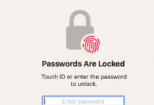 如何在 iOS 16 和 macOS Ventura 中导出 Safari 密码