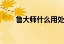 鲁大师什么用处（鲁大师有什么用）