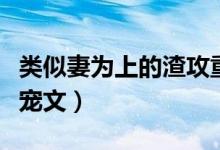 类似妻为上的渣攻重生文（类似妻为上的重生宠文）
