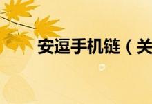 安逗手机链（关于安逗手机链介绍）
