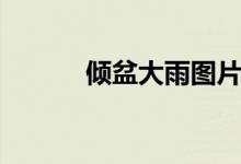 倾盆大雨图片大全（倾盆大雨）