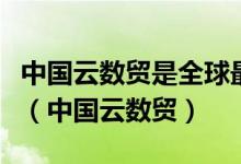 中国云数贸是全球最大的物联网五行币是什么（中国云数贸）