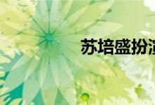 苏培盛扮演者（苏培盛）