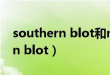 southern blot和northern blot（southern blot）