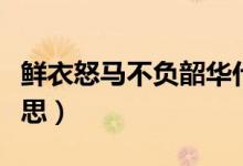 鲜衣怒马不负韶华什么意思（不负韶华什么意思）