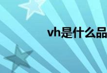 vh是什么品牌包包（v h s）