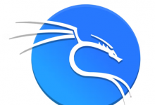 有关流行 Linux 发行版的所有信息