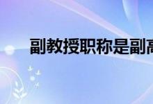 副教授职称是副高级吗（副教授职称）