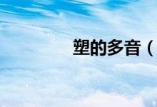 塑的多音（塑是多音字吗）