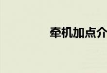 牵机加点介绍（牵机加点）