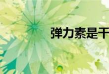 弹力素是干嘛的（弹力素）