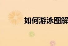 如何游泳图解（怎么游泳图解）