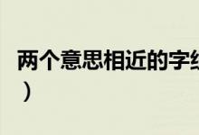 两个意思相近的字组成的词语有哪些（两个言）