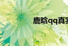 鹿晗qq真实号（鹿晗qq）