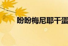 盼盼梅尼耶干蛋糕（梅尼耶干蛋糕）