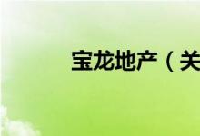 宝龙地产（关于宝龙地产介绍）