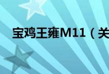宝鸡王雍M11（关于宝鸡王雍M11介绍）