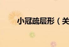 小冠疏层形（关于小冠疏层形介绍）