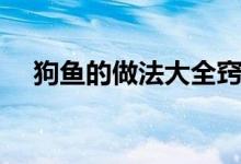 狗鱼的做法大全窍门（狗鱼的做法大全）