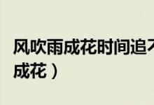 风吹雨成花时间追不上白马什么意思（风吹雨成花）