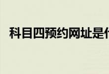 科目四预约网址是什么（科目四预约网址）