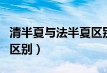 清半夏与法半夏区别大吗（清半夏与法半夏的区别）
