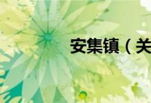 安集镇（关于安集镇介绍）
