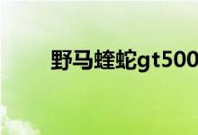 野马蝰蛇gt500多少钱（野马蝰蛇）