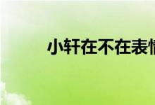 小轩在不在表情图（小轩在不在）