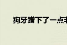 狗牙蹭下了一点非常薄的表皮（狗牙）