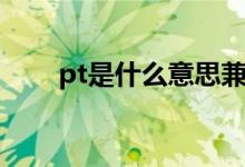 pt是什么意思兼职（pt是什么意思）