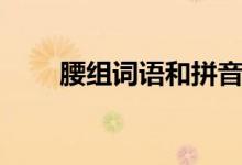 腰组词语和拼音怎么写（腰组词语）