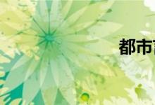 都市言情小说