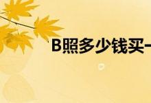 B照多少钱买一分（b照多少钱）