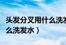 头发分叉用什么洗发水比较好（头发分叉用什么洗发水）