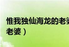 惟我独仙海龙的老婆有哪些(惟我独仙海龙的老婆)