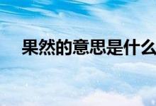果然的意思是什么三年级（果然的意思）