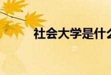 社会大学是什么学校(社会大学)