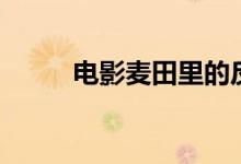 电影麦田里的反叛者（电影麦田）