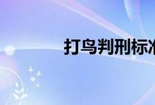 打鸟判刑标准判几年（打鸟）