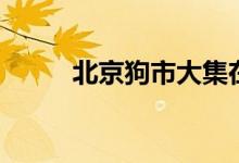 北京狗市大集在哪里（北京狗市）