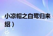 小凉帽之白鹭归来（关于小凉帽之白鹭归来介绍）