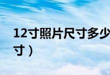 12寸照片尺寸多少厘米宽和高(12寸照片尺寸)