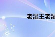 老湿王老湿（老湿第3部）