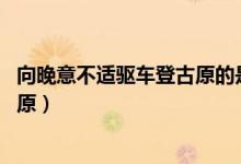 向晚意不适驱车登古原的是什么意思（向晚意不适 驱车登古原）