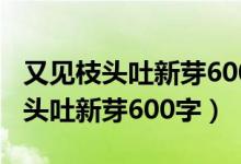 又见枝头吐新芽600字作文关于疫情（又见枝头吐新芽600字）